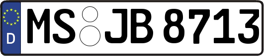 MS-JB8713