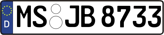 MS-JB8733