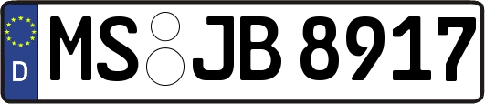 MS-JB8917