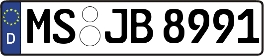 MS-JB8991