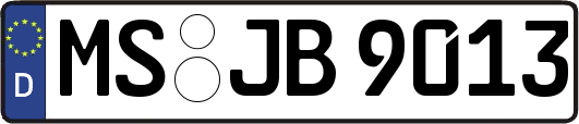 MS-JB9013