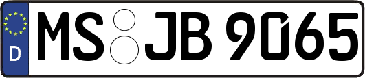 MS-JB9065
