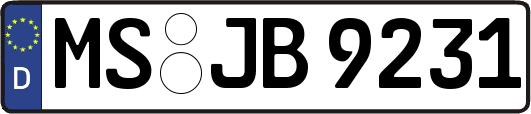MS-JB9231