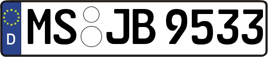 MS-JB9533