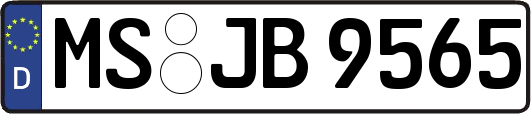 MS-JB9565