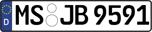 MS-JB9591