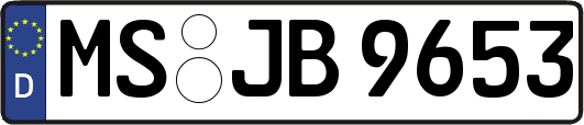 MS-JB9653