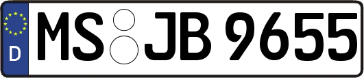 MS-JB9655