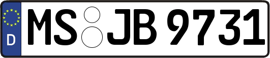MS-JB9731