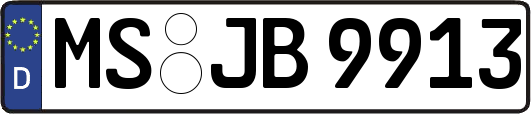 MS-JB9913