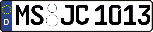 MS-JC1013