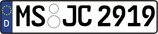 MS-JC2919