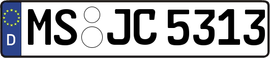 MS-JC5313