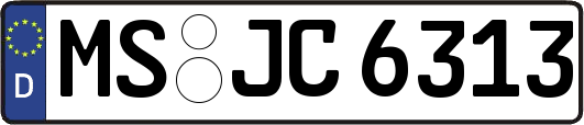 MS-JC6313