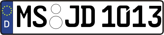 MS-JD1013