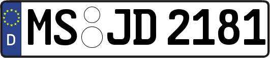 MS-JD2181