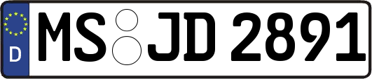 MS-JD2891