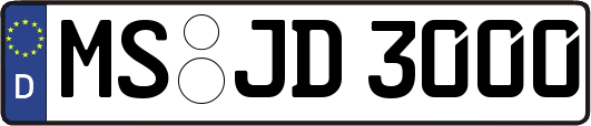 MS-JD3000