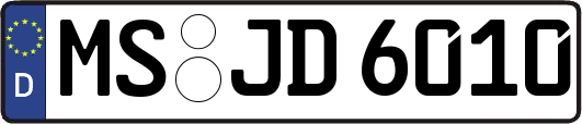 MS-JD6010
