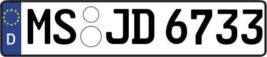 MS-JD6733