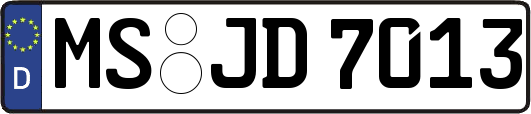 MS-JD7013