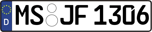 MS-JF1306