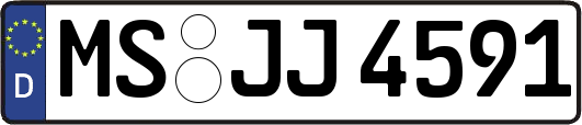 MS-JJ4591