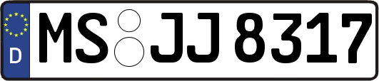 MS-JJ8317