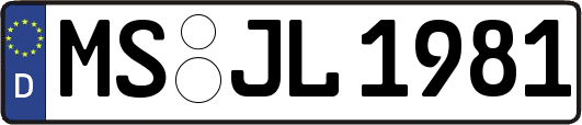 MS-JL1981