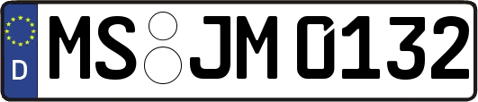 MS-JM0132