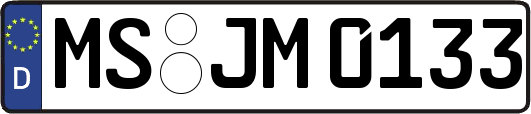MS-JM0133