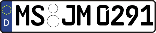 MS-JM0291
