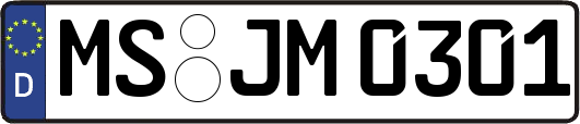 MS-JM0301