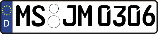 MS-JM0306