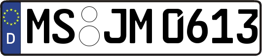 MS-JM0613