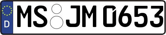MS-JM0653