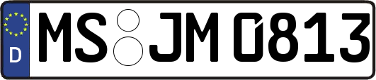 MS-JM0813