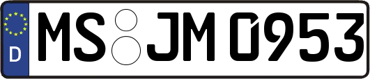 MS-JM0953