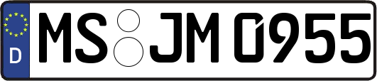 MS-JM0955