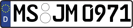 MS-JM0971