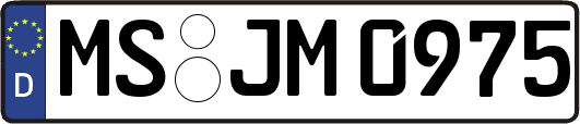 MS-JM0975