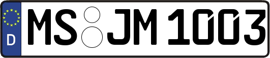 MS-JM1003