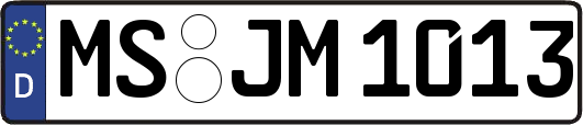 MS-JM1013