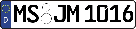 MS-JM1016