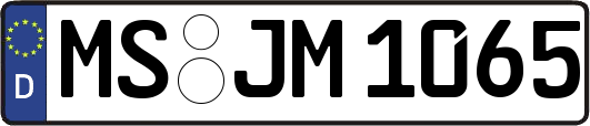 MS-JM1065