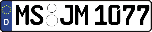 MS-JM1077