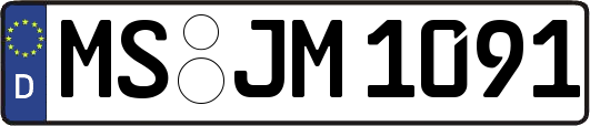 MS-JM1091