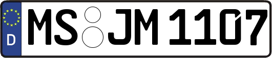 MS-JM1107