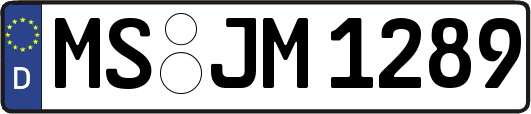 MS-JM1289
