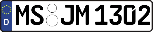 MS-JM1302